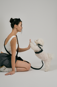 REFLECTIVE HANDS-FREE LEAD