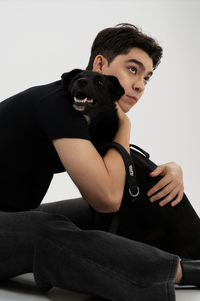 REFLECTIVE HANDS-FREE LEAD