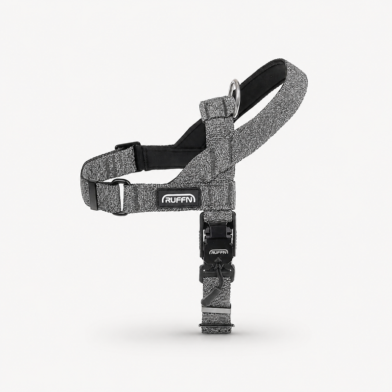 REFLECTIVE HARNESS