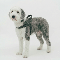 REFLECTIVE HARNESS