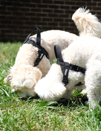 REFLECTIVE HARNESS