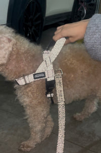 REFLECTIVE HARNESS