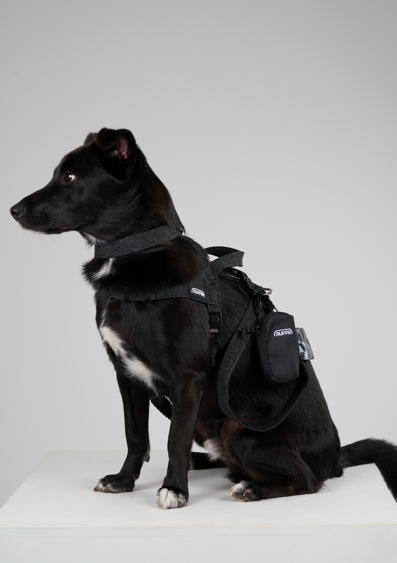 REFLECTIVE HANDS-FREE LEAD