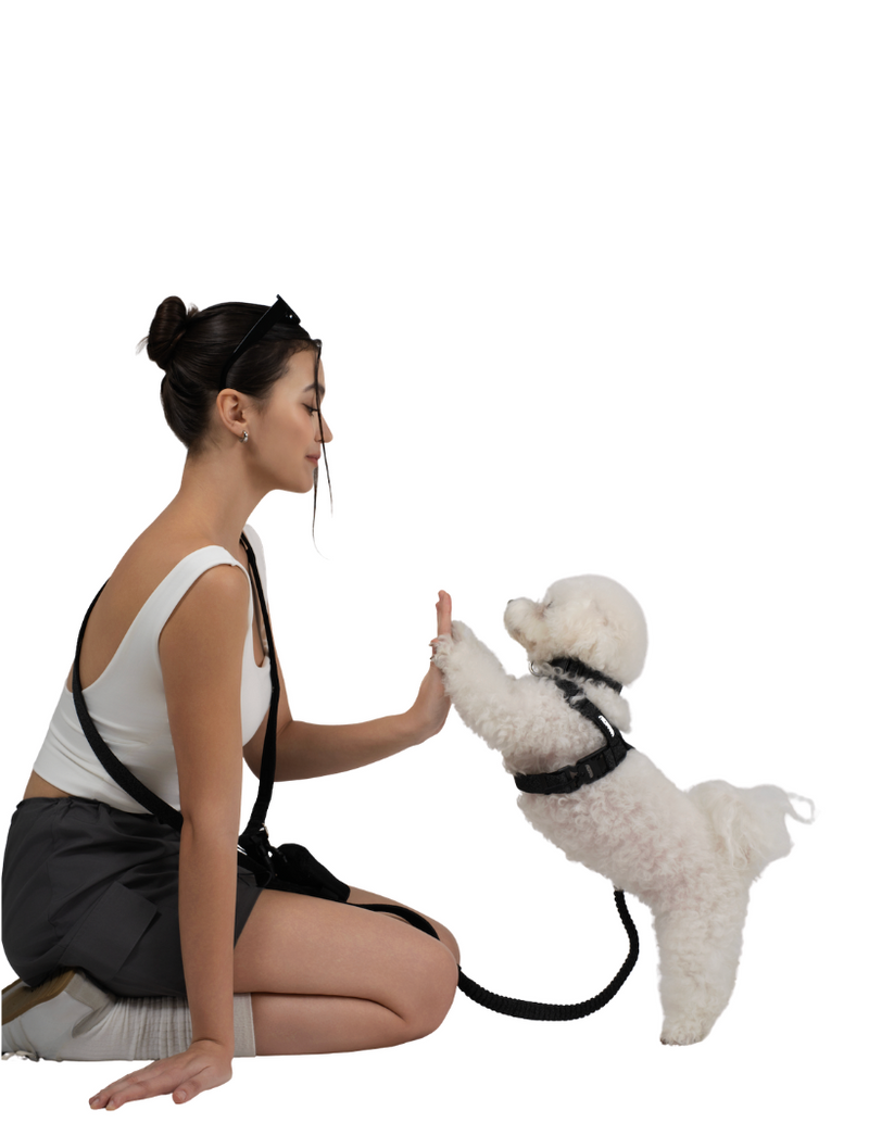 REFLECTIVE HANDS-FREE LEAD